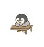 ペンギンくんのスタンプ2（個別スタンプ：17）