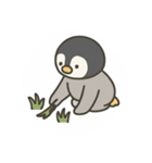 ペンギンくんのスタンプ2（個別スタンプ：20）