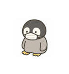ペンギンくんのスタンプ2（個別スタンプ：40）