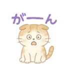 ふわもこスコティッシュフォールドの日常（個別スタンプ：1）