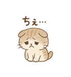 ふわもこスコティッシュフォールドの日常（個別スタンプ：11）