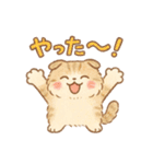 ふわもこスコティッシュフォールドの日常（個別スタンプ：13）