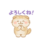 ふわもこスコティッシュフォールドの日常（個別スタンプ：19）