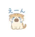 ふわもこスコティッシュフォールドの日常（個別スタンプ：27）