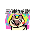 動く！感謝するシャム猫（個別スタンプ：1）