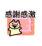 動く！感謝するシャム猫（個別スタンプ：6）