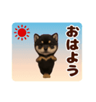 踊る！黒柴/豆柴/まめしば/マメシバ（個別スタンプ：1）