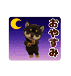 踊る！黒柴/豆柴/まめしば/マメシバ（個別スタンプ：3）
