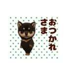 踊る！黒柴/豆柴/まめしば/マメシバ（個別スタンプ：5）