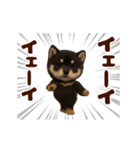 踊る！黒柴/豆柴/まめしば/マメシバ（個別スタンプ：9）