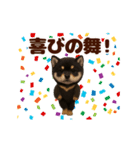 踊る！黒柴/豆柴/まめしば/マメシバ（個別スタンプ：11）