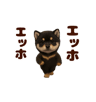 踊る！黒柴/豆柴/まめしば/マメシバ（個別スタンプ：12）