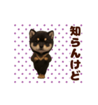 踊る！黒柴/豆柴/まめしば/マメシバ（個別スタンプ：13）