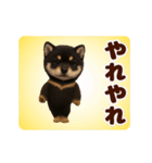 踊る！黒柴/豆柴/まめしば/マメシバ（個別スタンプ：14）