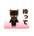 踊る！黒柴/豆柴/まめしば/マメシバ（個別スタンプ：17）