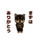 踊る！黒柴/豆柴/まめしば/マメシバ（個別スタンプ：18）