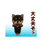 踊る！黒柴/豆柴/まめしば/マメシバ（個別スタンプ：19）