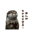 動く！やる気ゼロのカワウソ（個別スタンプ：3）