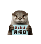 動く！やる気ゼロのカワウソ（個別スタンプ：4）