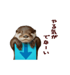 動く！やる気ゼロのカワウソ（個別スタンプ：7）