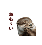 動く！やる気ゼロのカワウソ（個別スタンプ：10）