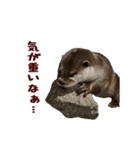 動く！やる気ゼロのカワウソ（個別スタンプ：11）