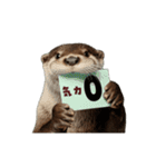 動く！やる気ゼロのカワウソ（個別スタンプ：12）