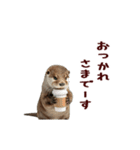 動く！やる気ゼロのカワウソ（個別スタンプ：14）