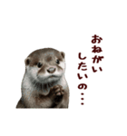 動く！やる気ゼロのカワウソ（個別スタンプ：15）