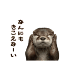 動く！やる気ゼロのカワウソ（個別スタンプ：18）