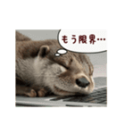 動く！やる気ゼロのカワウソ（個別スタンプ：20）