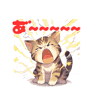 ネガティブにゃんこスタンプ（個別スタンプ：36）