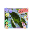 夏！涼しいスタンプ（個別スタンプ：2）