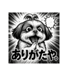 大迫力！オモシロシーズー！（個別スタンプ：5）