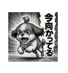 大迫力！オモシロシーズー！（個別スタンプ：16）