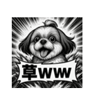 大迫力！オモシロシーズー！（個別スタンプ：20）