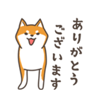 ある柴犬のスタンプ（個別スタンプ：1）