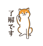 ある柴犬のスタンプ（個別スタンプ：2）
