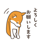 ある柴犬のスタンプ（個別スタンプ：3）