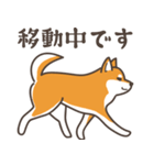 ある柴犬のスタンプ（個別スタンプ：5）