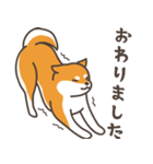 ある柴犬のスタンプ（個別スタンプ：6）