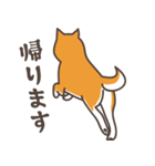 ある柴犬のスタンプ（個別スタンプ：8）