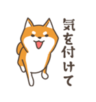 ある柴犬のスタンプ（個別スタンプ：9）