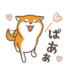 ある柴犬のスタンプ（個別スタンプ：12）