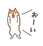 ある柴犬のスタンプ（個別スタンプ：16）