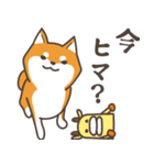 ある柴犬のスタンプ（個別スタンプ：17）