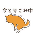 ある柴犬のスタンプ（個別スタンプ：21）