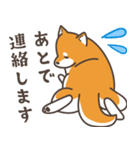 ある柴犬のスタンプ（個別スタンプ：22）