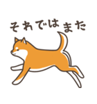 ある柴犬のスタンプ（個別スタンプ：23）