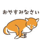 ある柴犬のスタンプ（個別スタンプ：24）